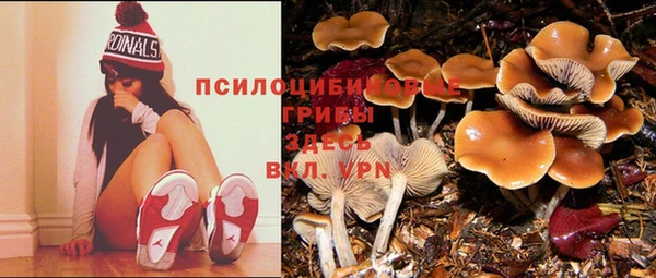 кокаин Горнозаводск