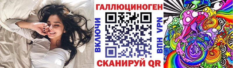 OMG tor  Дубовка  Псилоцибиновые грибы мухоморы 